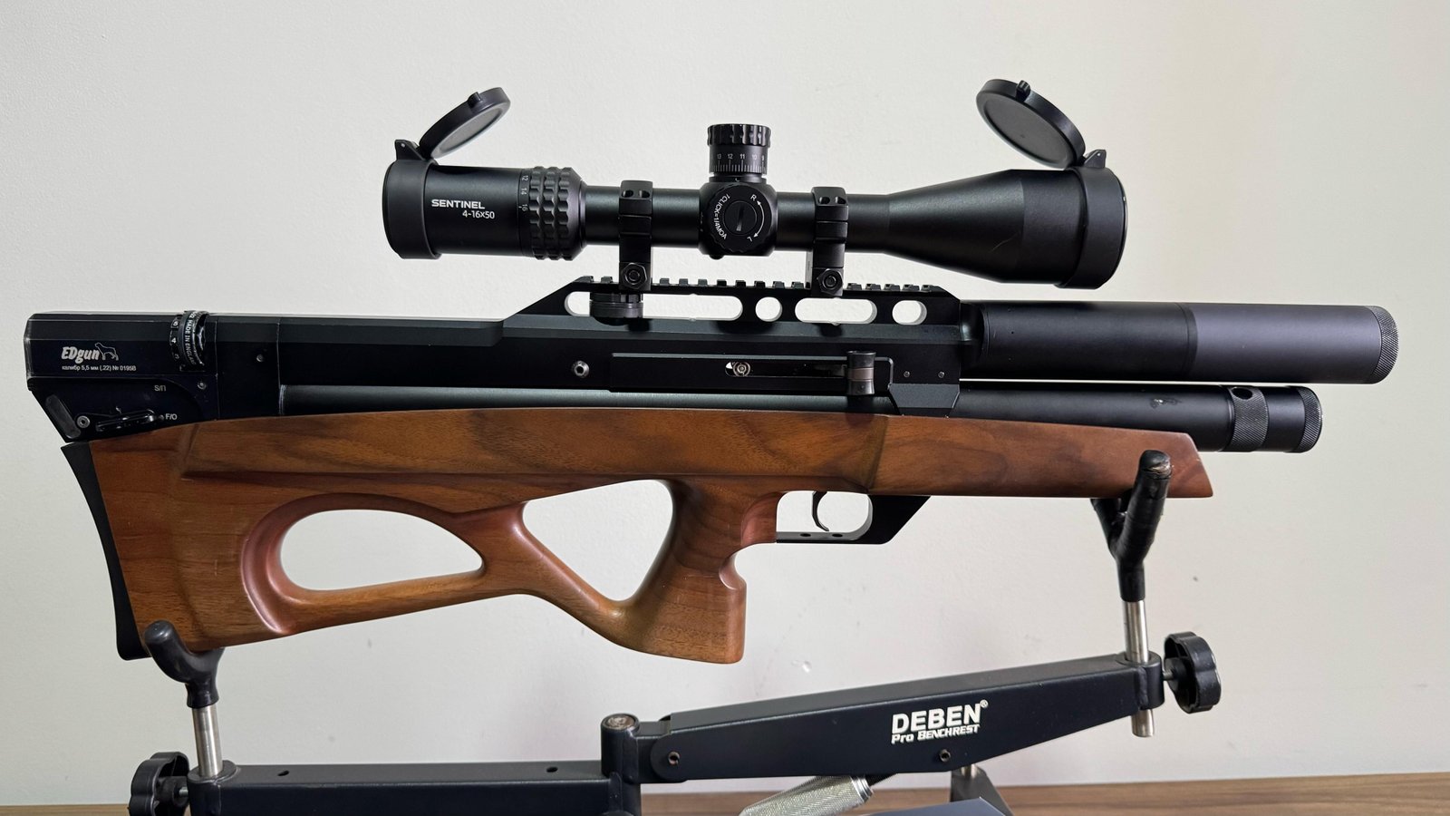 Carabina Edgun + Luneta sentinel ou 10K no PIX.